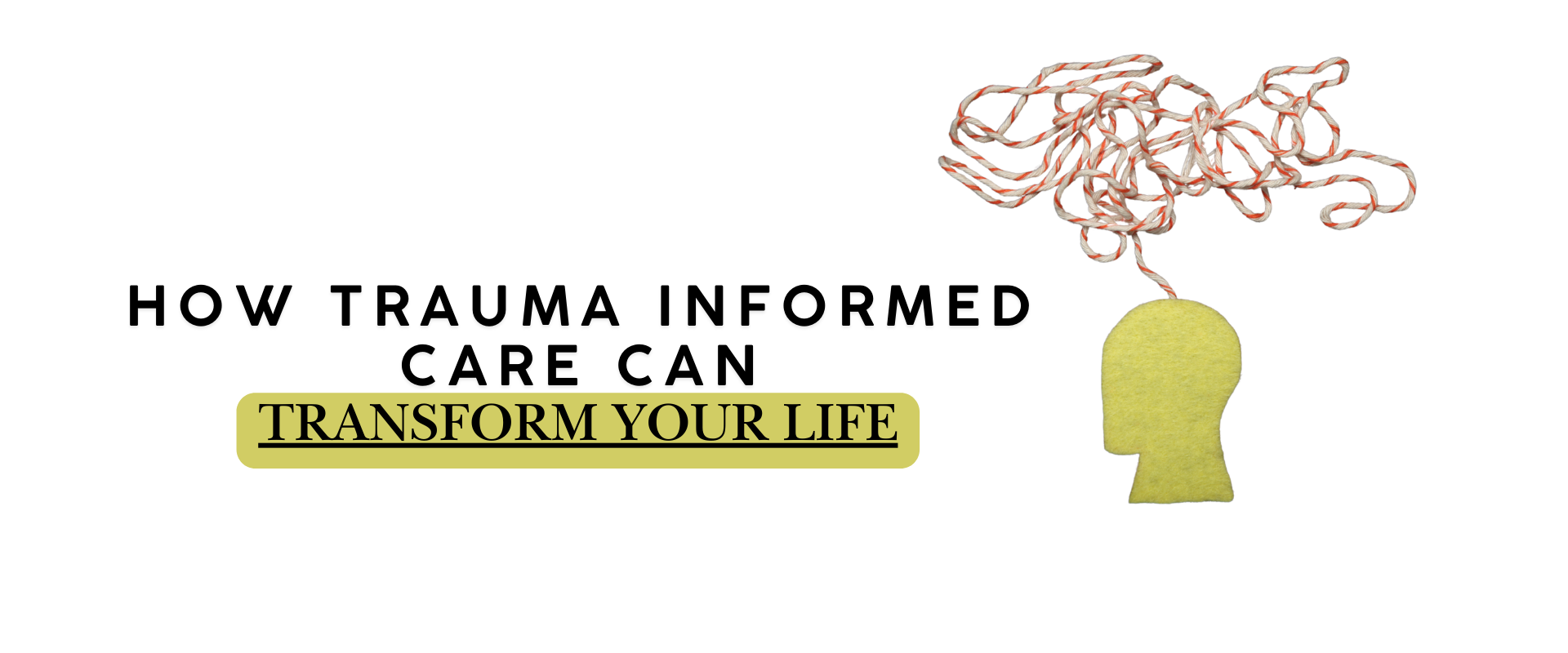 How Trauma Informed Care Can Transform Your Life